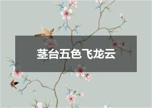 茎台五色飞龙云