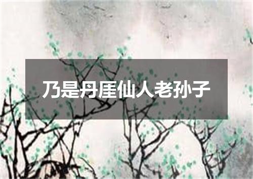乃是丹厓仙人老孙子