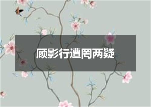 顾影行遭罔两疑