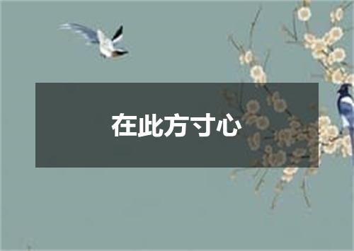 在此方寸心