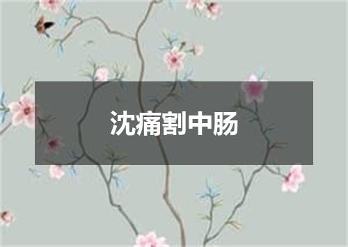 沈痛割中肠