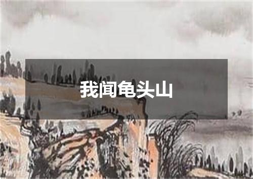 我闻龟头山