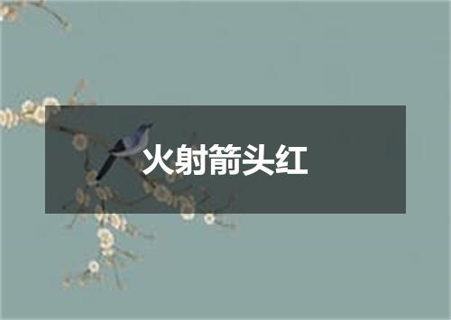 火射箭头红