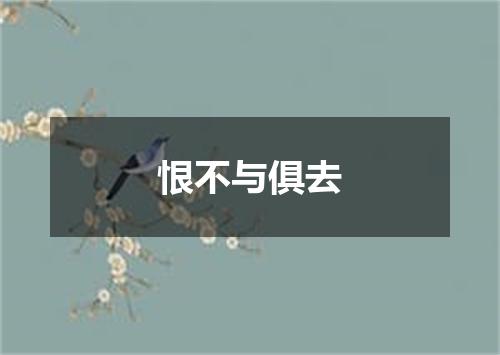 恨不与俱去