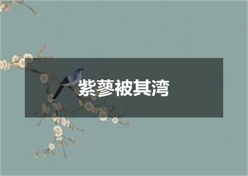 紫蓼被其湾