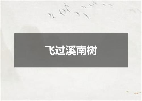 飞过溪南树