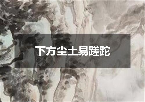 下方尘土易蹉跎