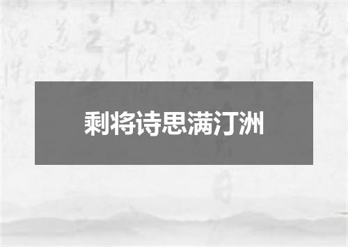 剩将诗思满汀洲
