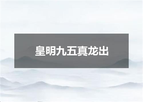 皇明九五真龙出