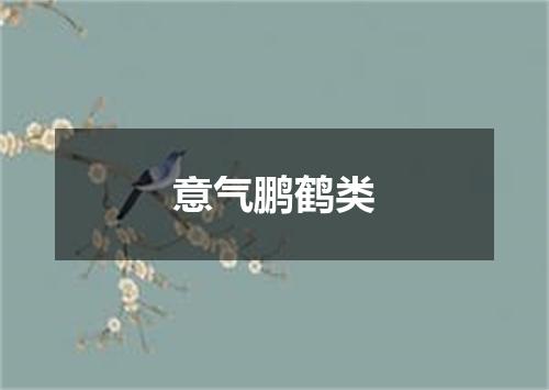 意气鹏鹤类
