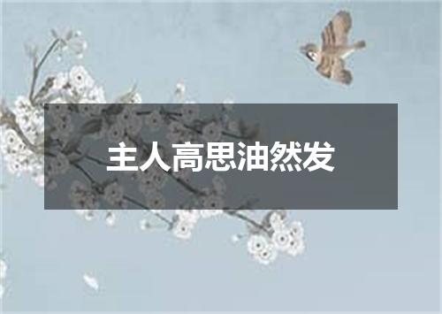 主人高思油然发