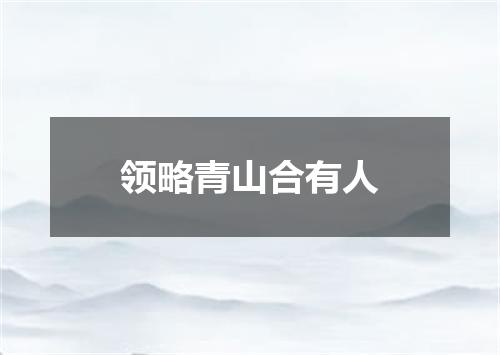 领略青山合有人