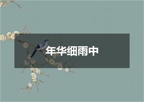 年华细雨中