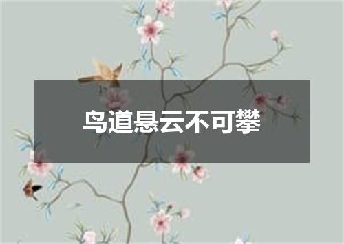 鸟道悬云不可攀