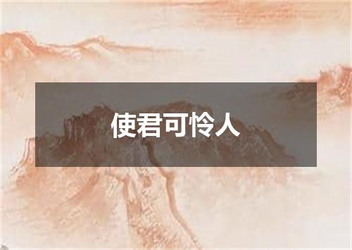 使君可怜人