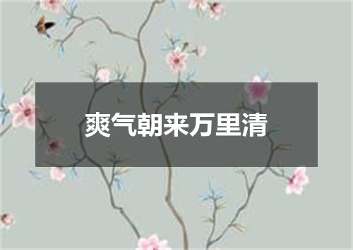 爽气朝来万里清
