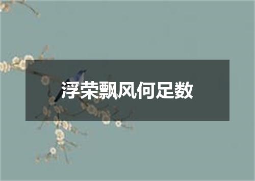 浮荣飘风何足数