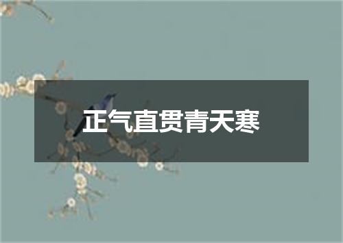 正气直贯青天寒