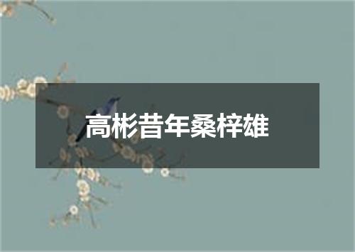 高彬昔年桑梓雄