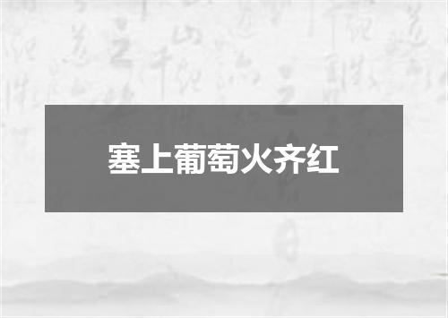 塞上葡萄火齐红