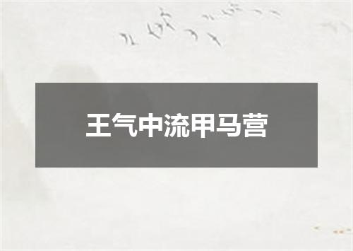 王气中流甲马营