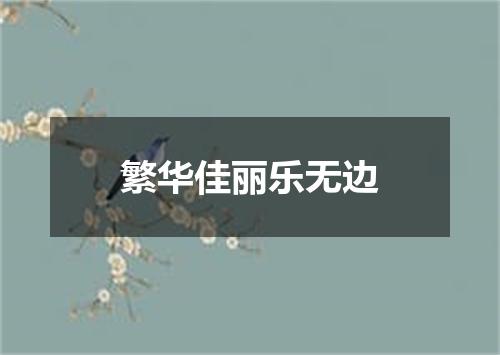 繁华佳丽乐无边