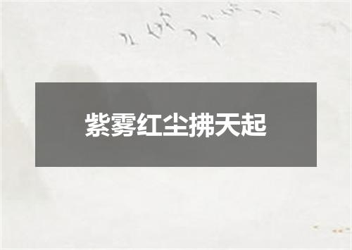 紫雾红尘拂天起