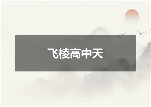 飞棱高中天