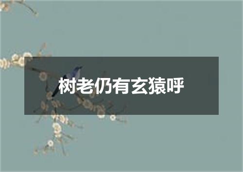 树老仍有玄猿呼