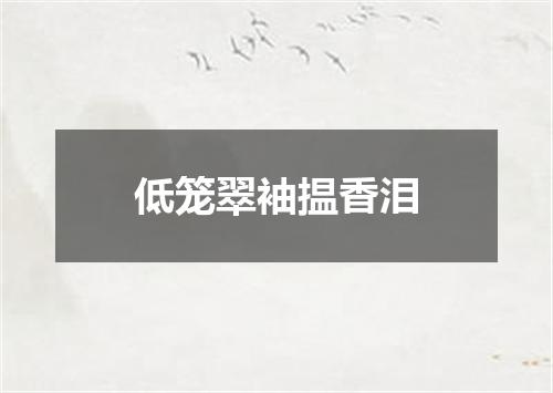 低笼翠袖揾香泪