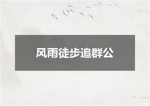 风雨徒步追群公
