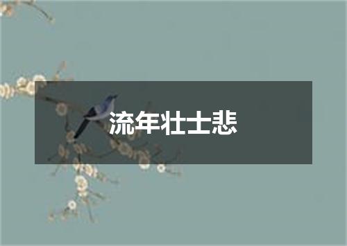 流年壮士悲