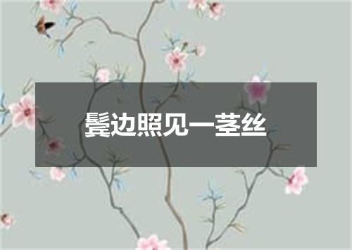 鬓边照见一茎丝