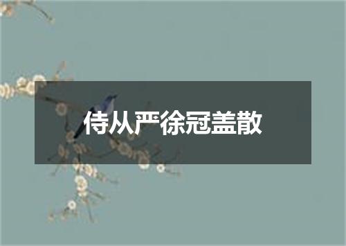 侍从严徐冠盖散
