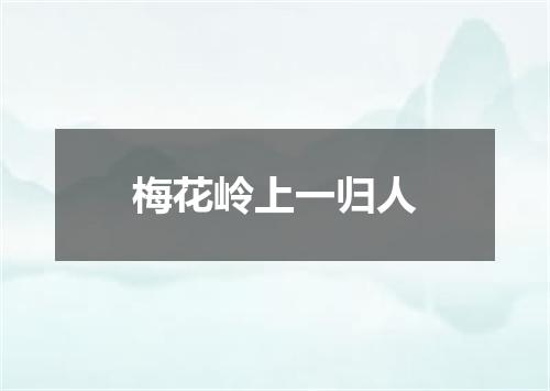 梅花岭上一归人