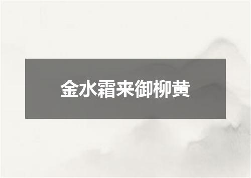 金水霜来御柳黄