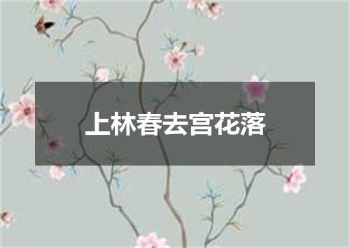 上林春去宫花落