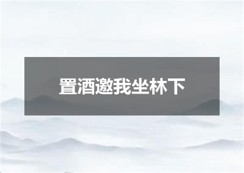 置酒邀我坐林下