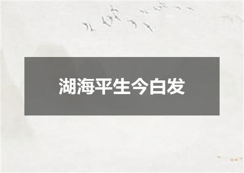 湖海平生今白发