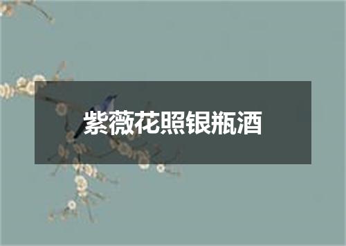 紫薇花照银瓶酒