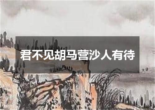 君不见胡马营沙人有待