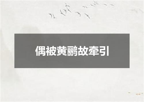 偶被黄鹂故牵引