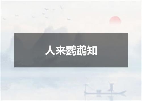 人来鹦鹉知