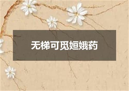 无梯可觅姮娥药