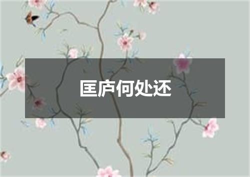 匡庐何处还