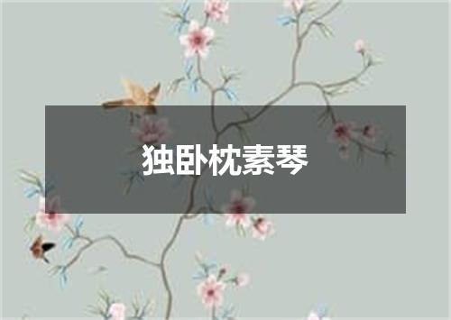 独卧枕素琴