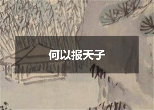何以报天子