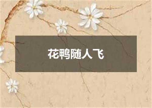 花鸭随人飞