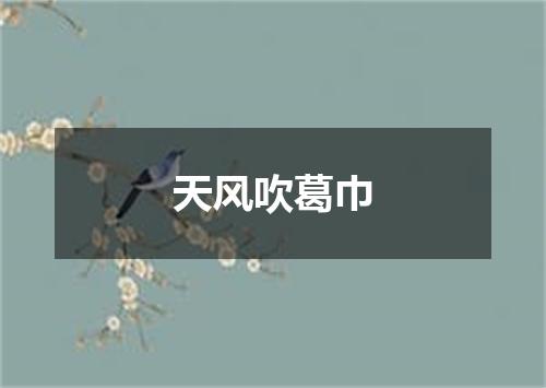 天风吹葛巾
