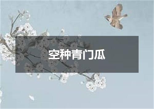 空种青门瓜